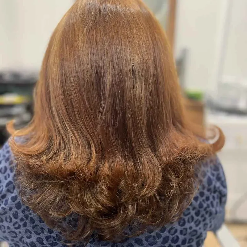 رنگو کوتاهی