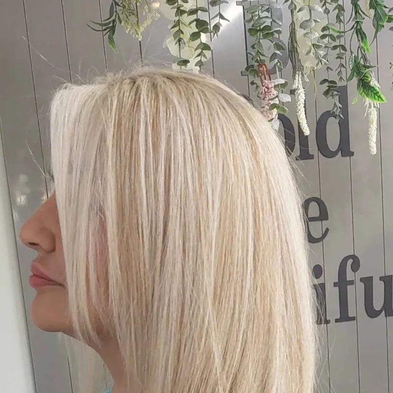 مش کرم صدفی