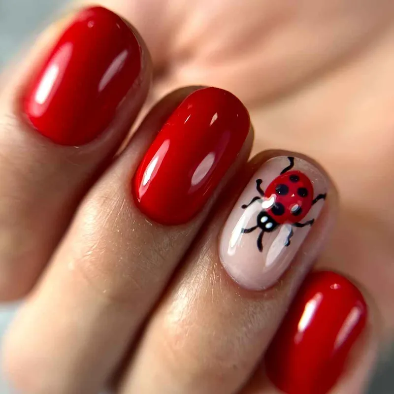 هر سبکی مد نظرتون باشه براتون اجرا میکنیم