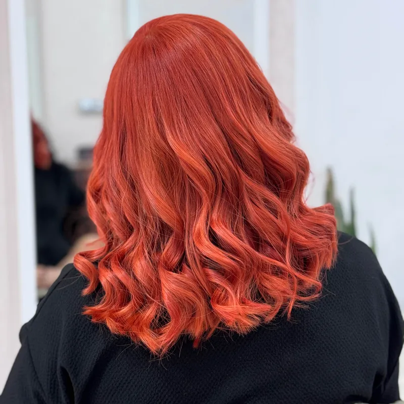 خدمات تخصصی رنگمو