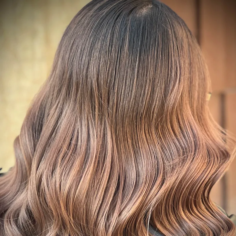 رنگ و لایت تخصصی