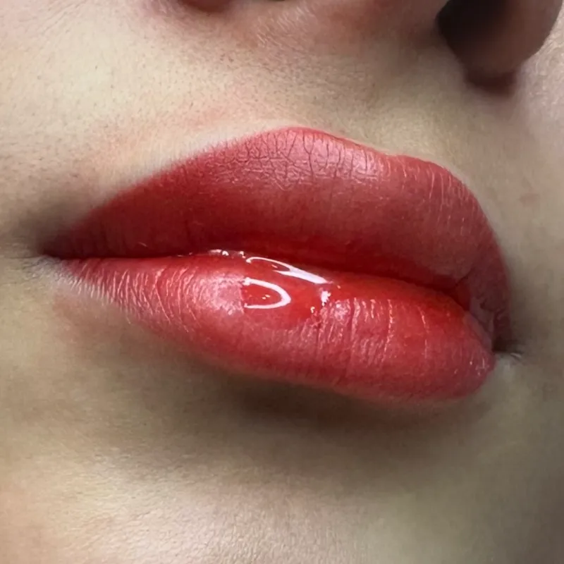 شیدلب.رژلب دایم.