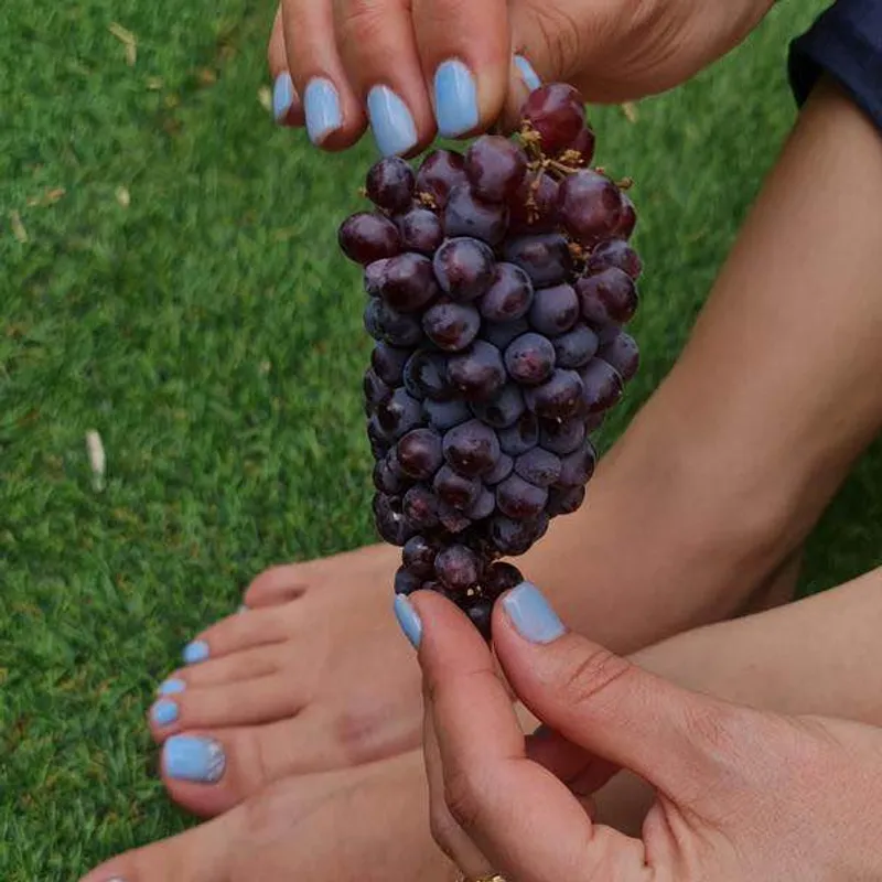 ترمیم لمینیت 