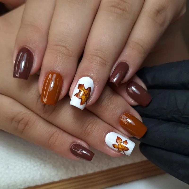 ترمیم پودر و طراحی پاییزه