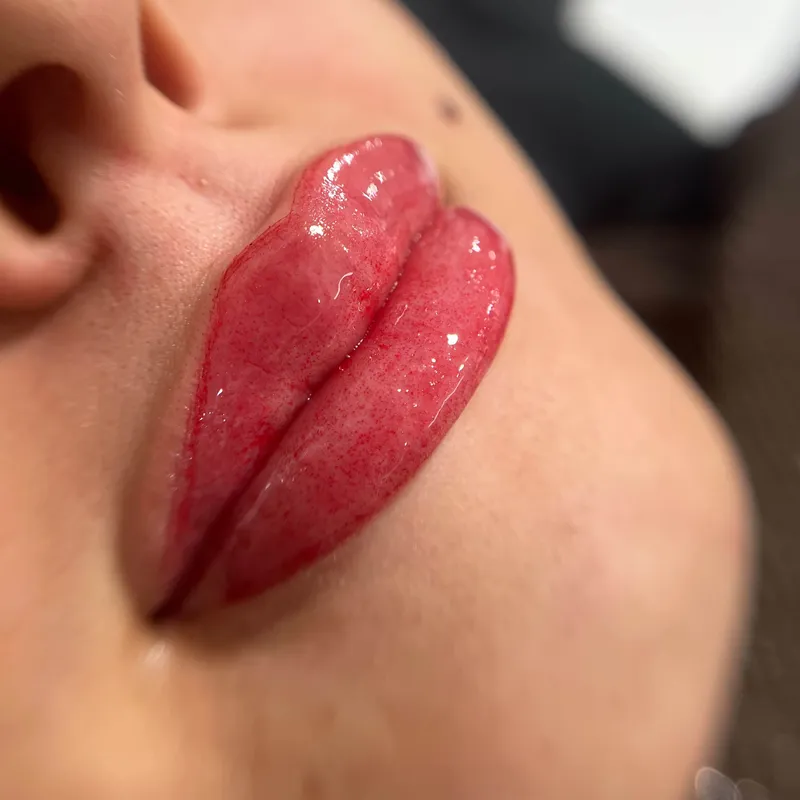 میکرو وشید لب