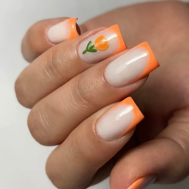 ترمیم و دیزاین فرنچ