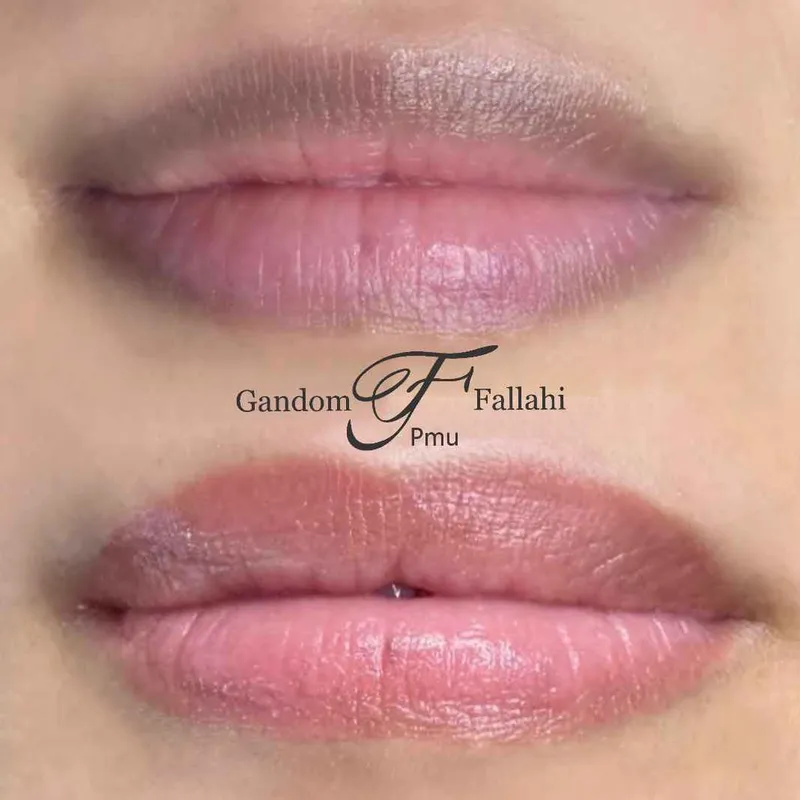 دارک لیپس لب