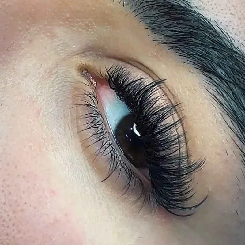 مژه