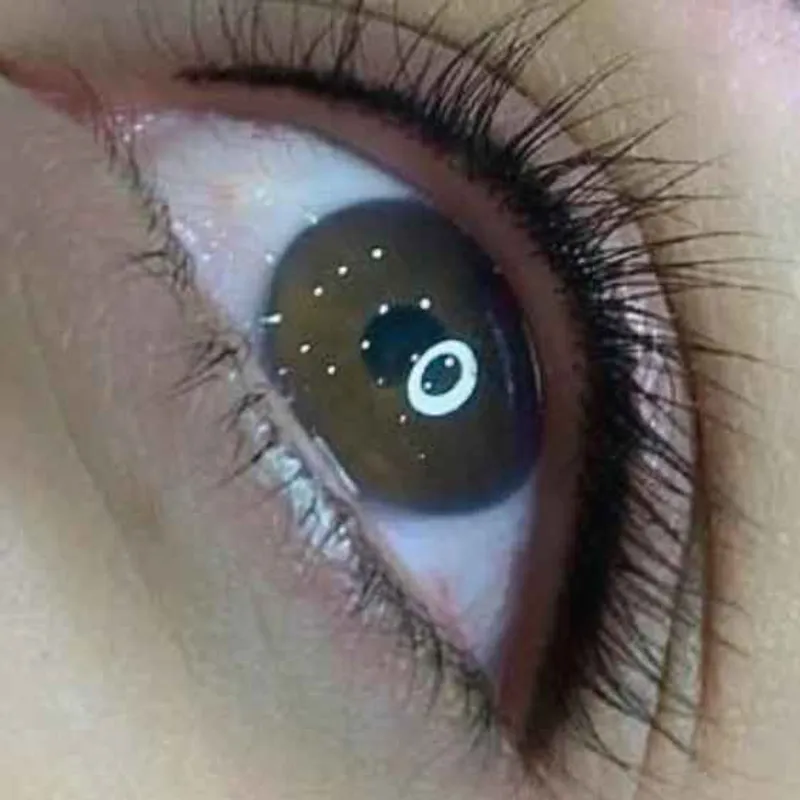شیدینگ لب وبن مژه