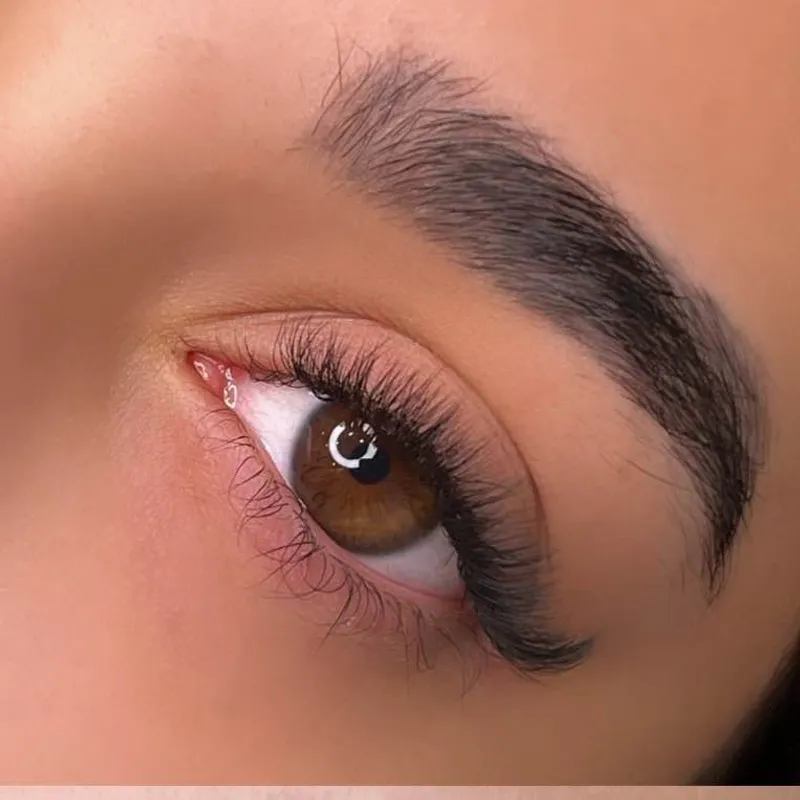 مژه