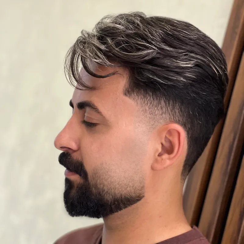 مش و هایلایت