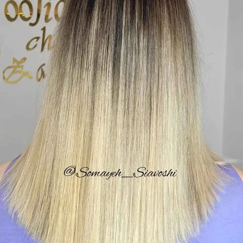 سامبره موی کوتاه