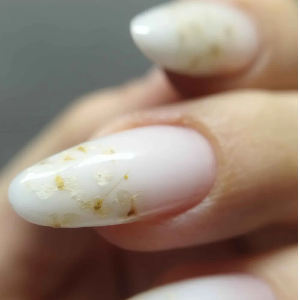 طراحی ودیزایین وکاشت استاد سبا 