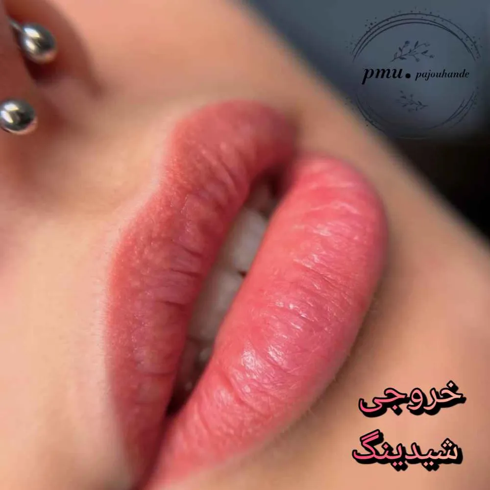 میکروبلیدینگ شیدینگ لب رژلب خط چشم بنمژه خط مژه