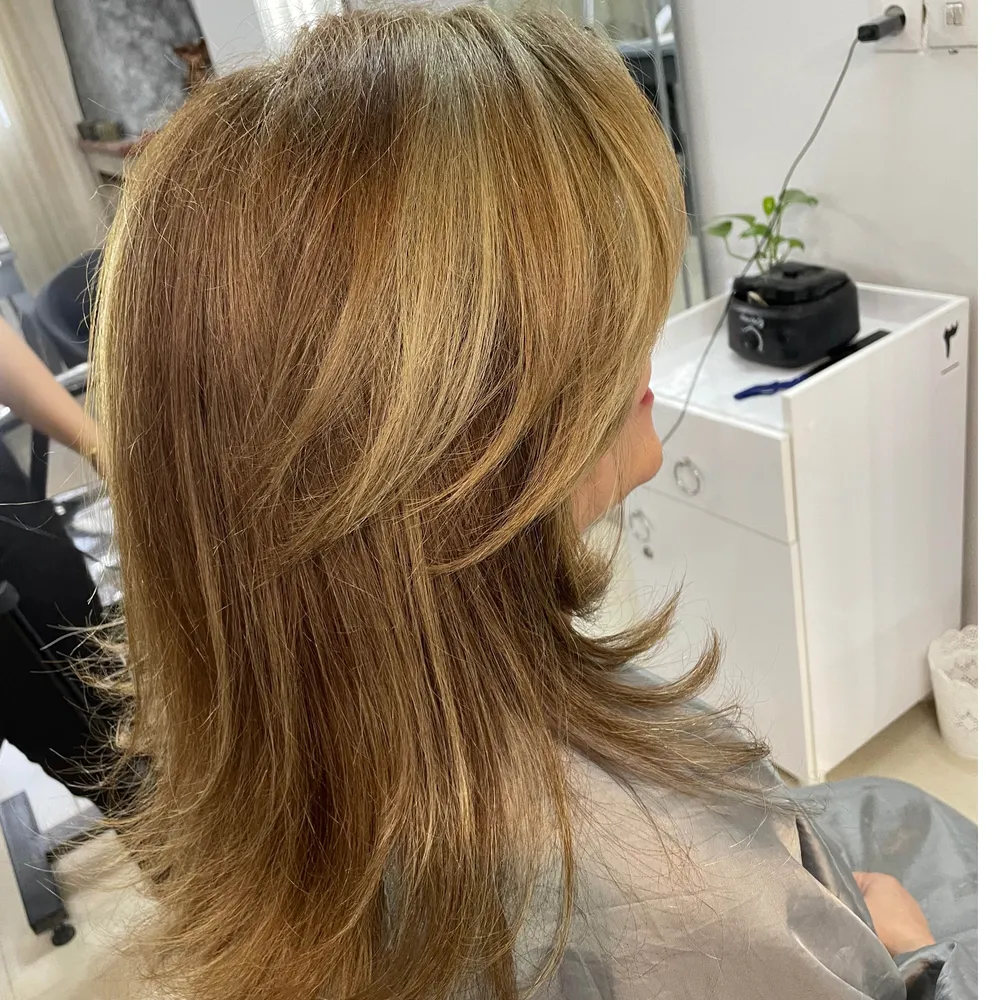 شنیون - هیرکات - رنگ و لایت