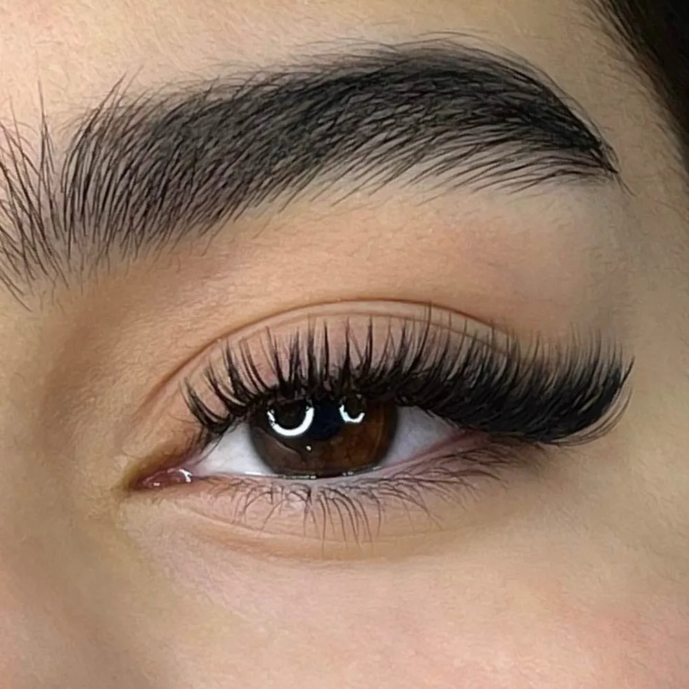 اکستنشن هیبریدی