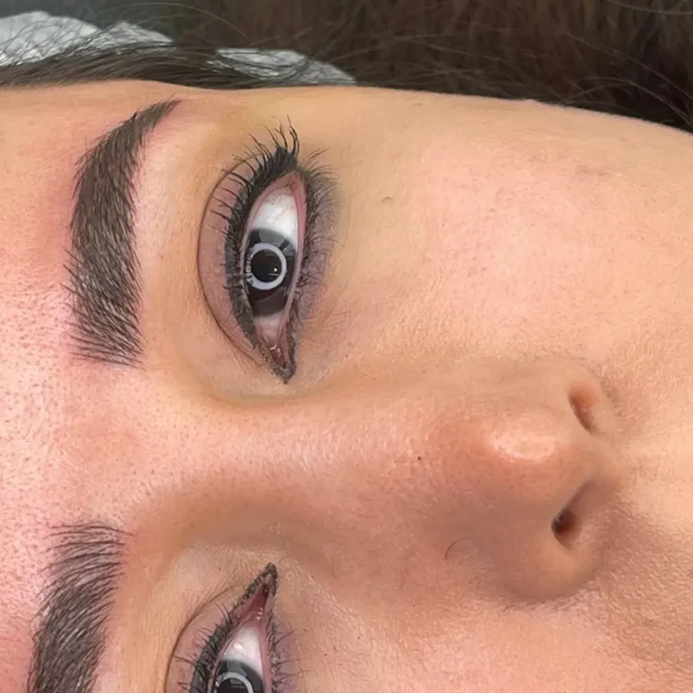 میکروپیگمنتیشن ابرو