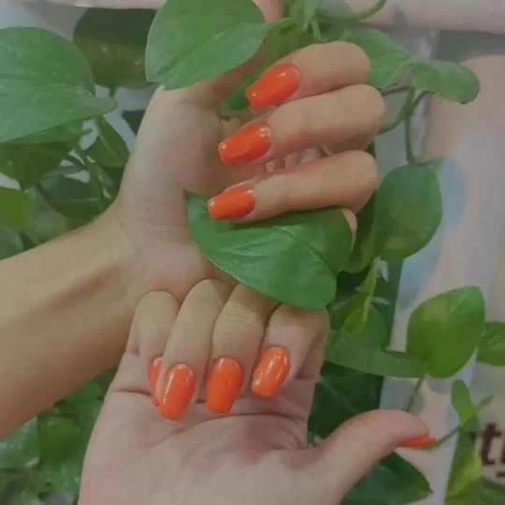 کاشت و ژلیش ناخن