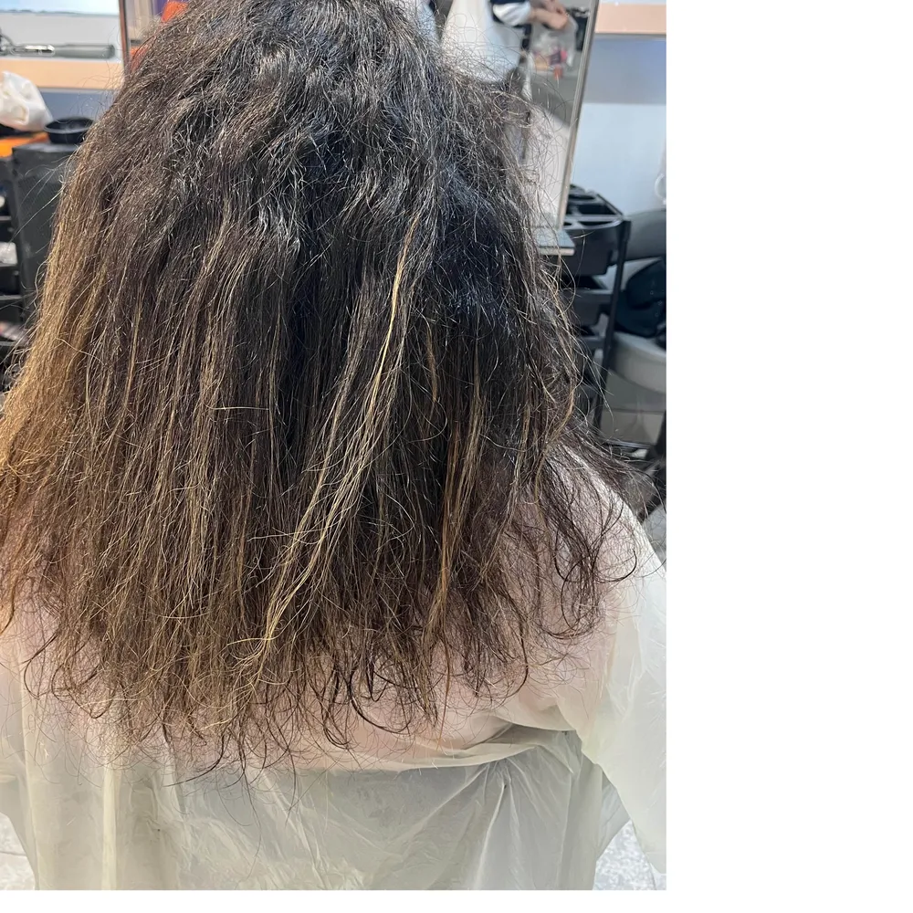 احیا و صافی