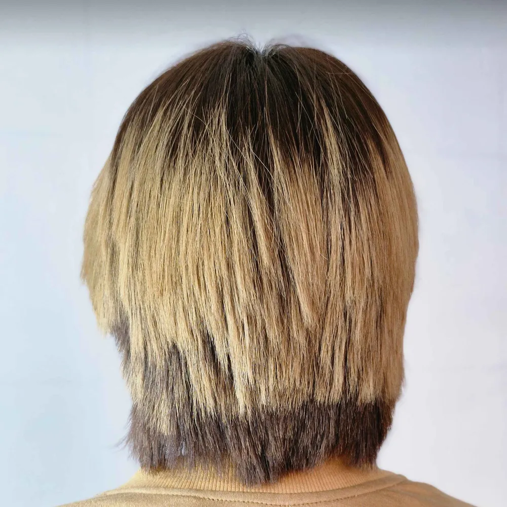 احیا و صافی 