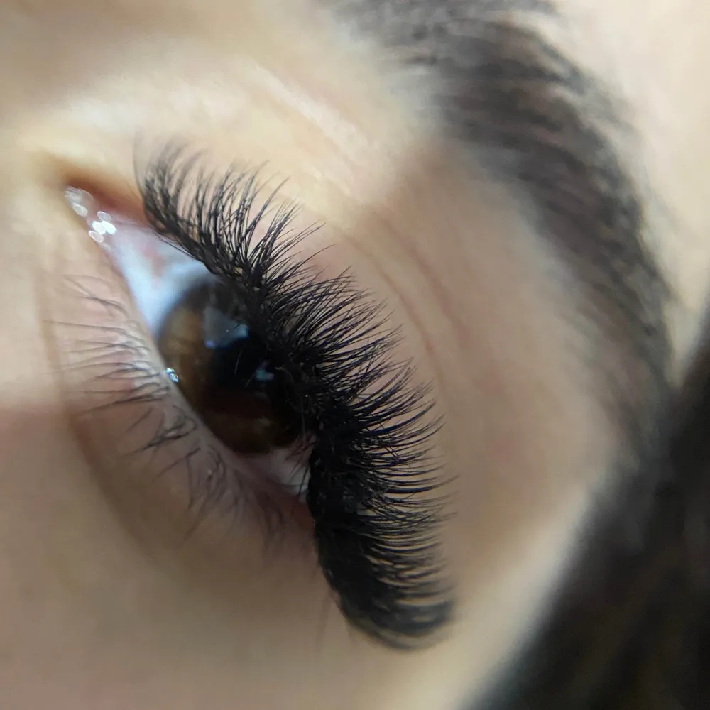 اکستشن مگاوالیوم