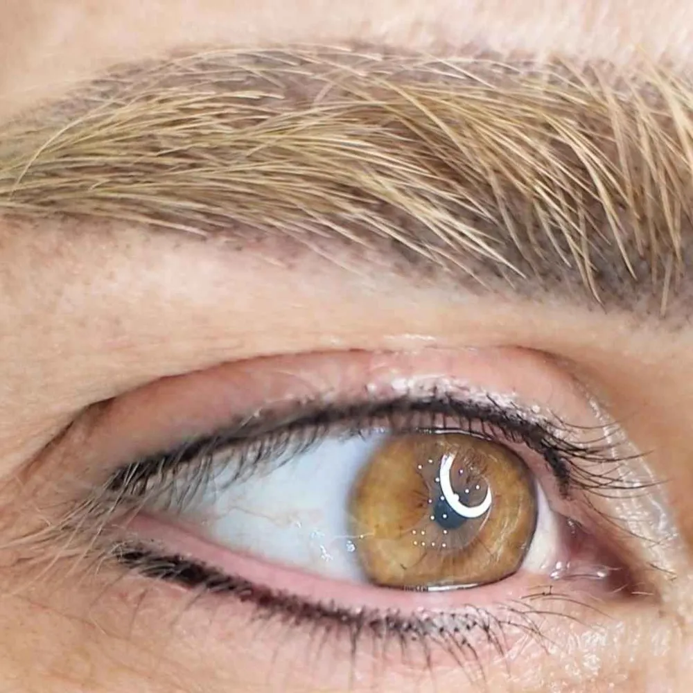 میکرو بلیدینگ و میکروپیگمنتیشن ،انواع تکنیکهای شیدینگ لب ،خط چشم ،بن مژه،ریمو