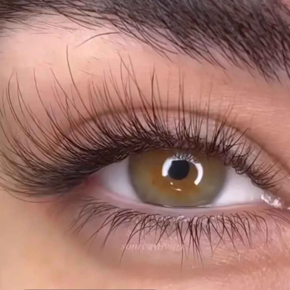 اکستنشن ترندی