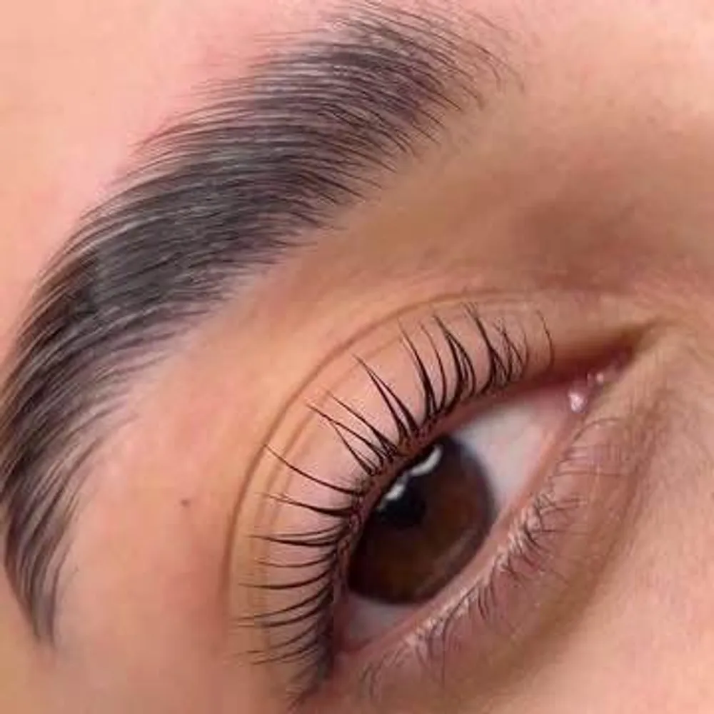 لیفت و لمینت