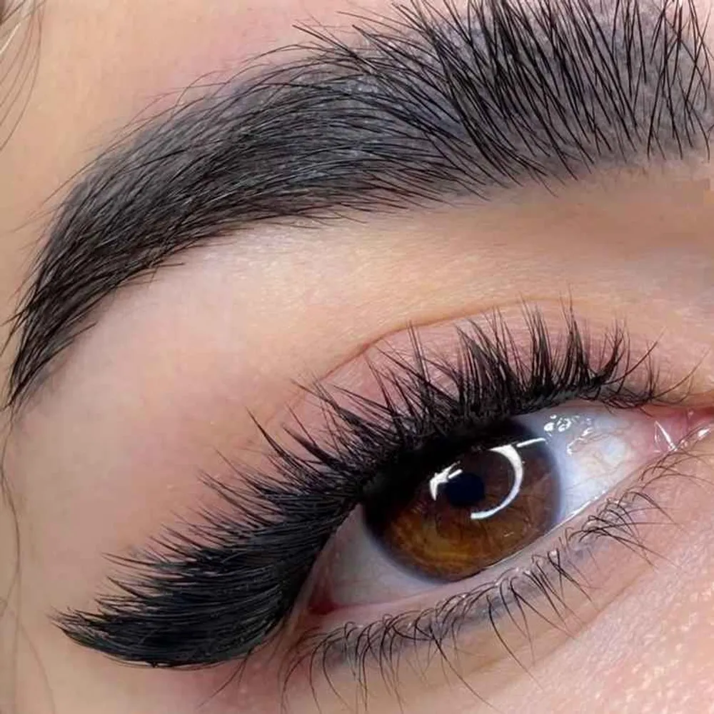 کاشت هیدن گربه ای