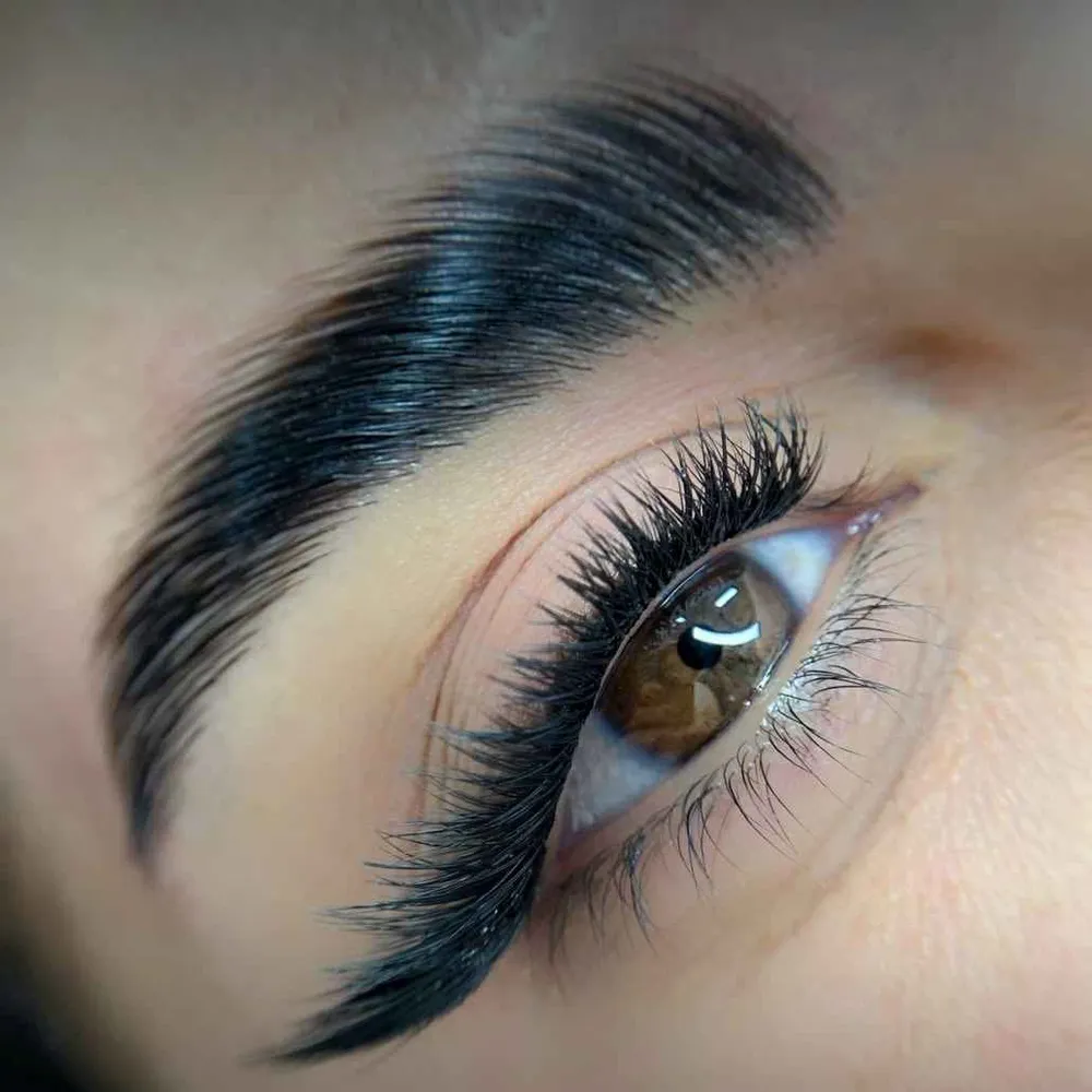 کاشت هیدن، روباهی، گربه ای