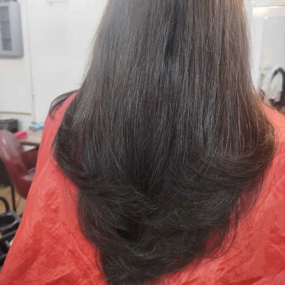 کوتاهی مدل پروانه