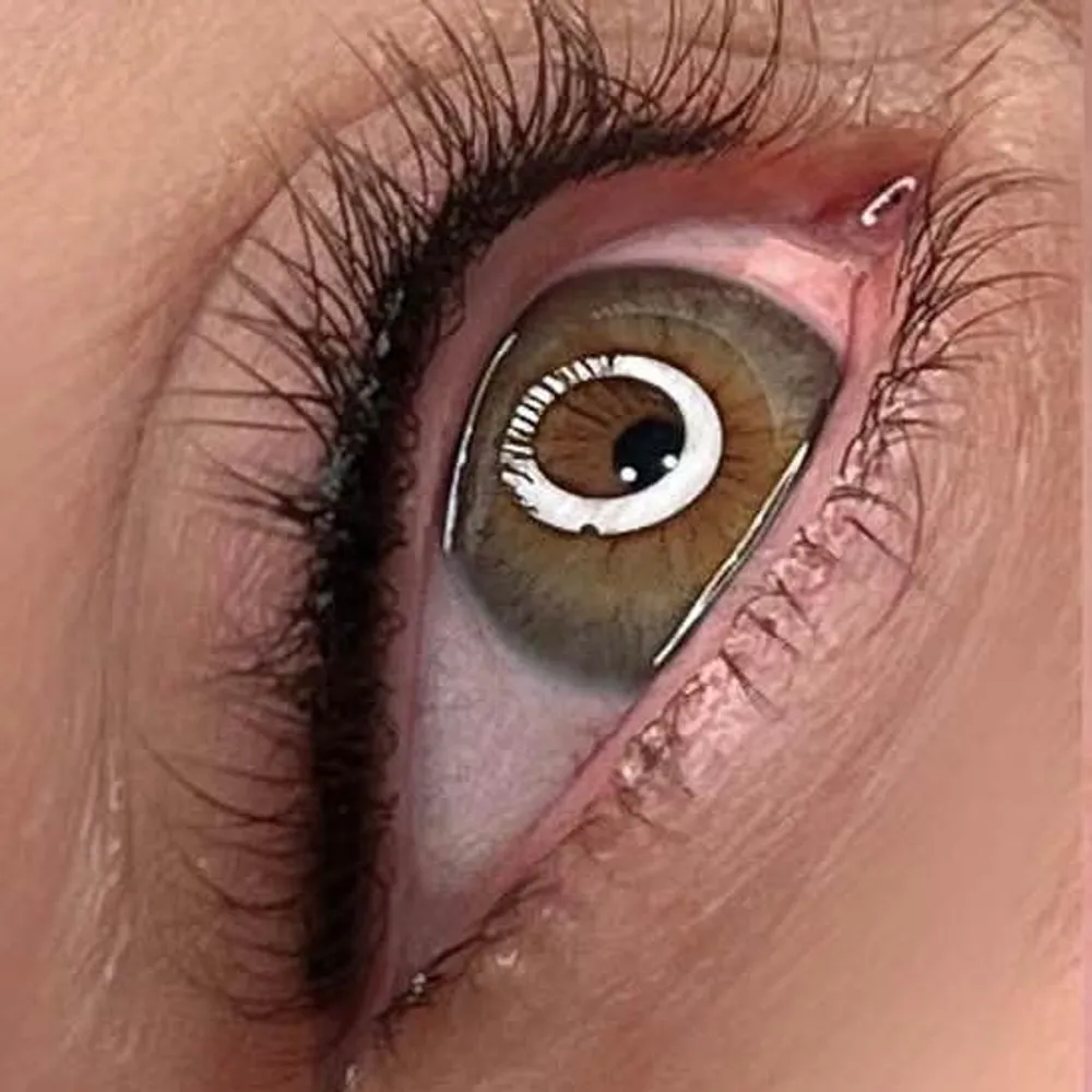 فیبروز ابرو بنمژه شیدلب