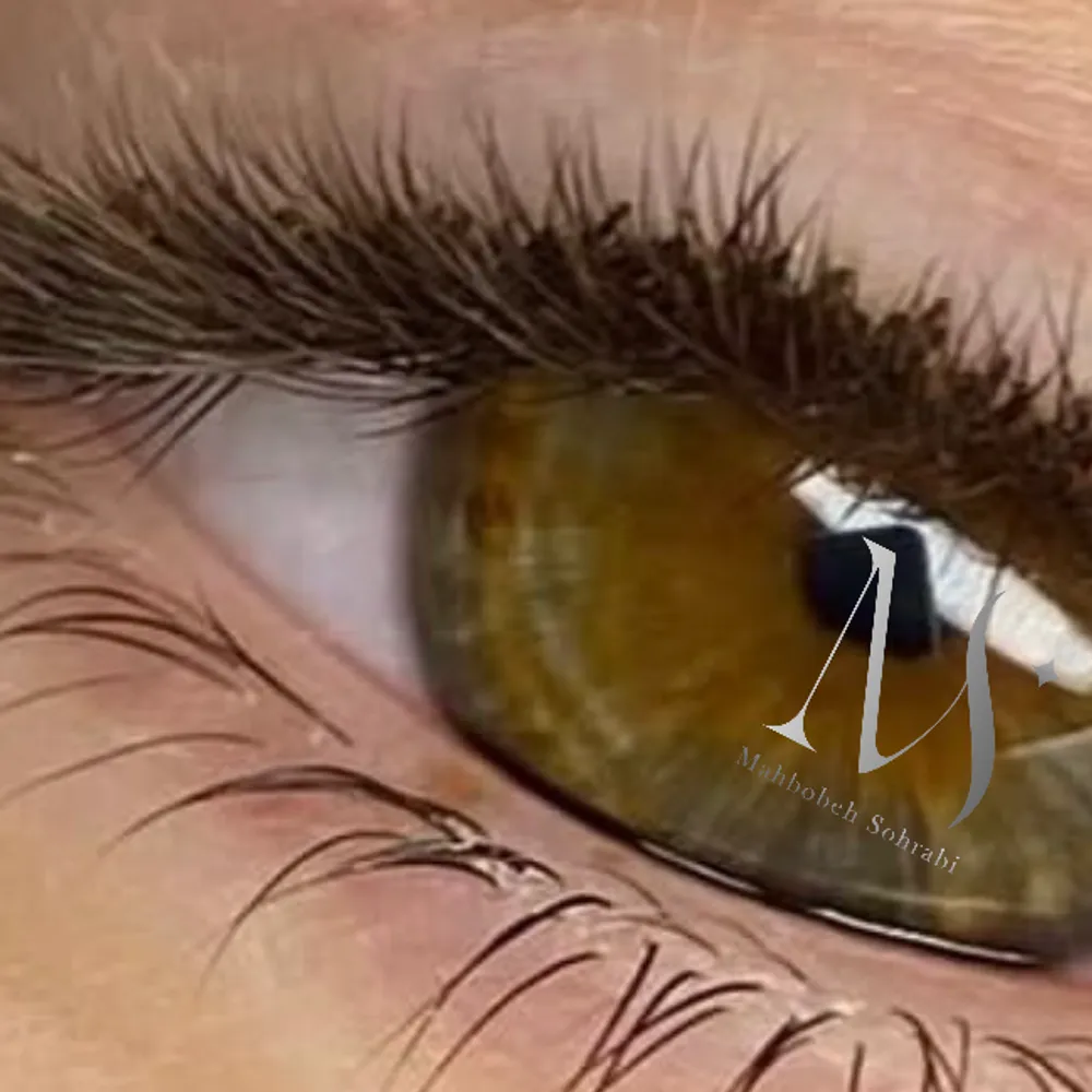 مژه خط چشمی