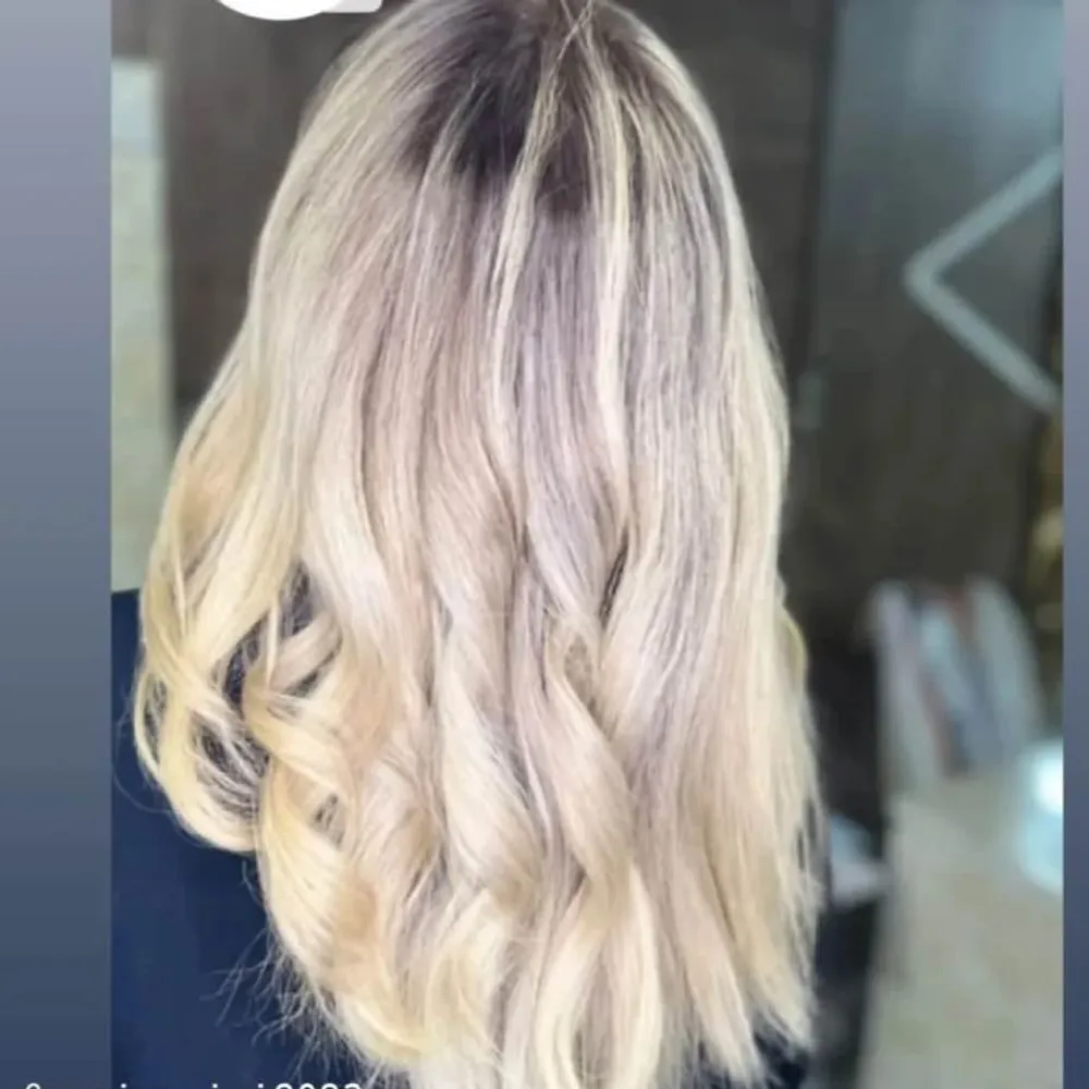 مش و هایلات