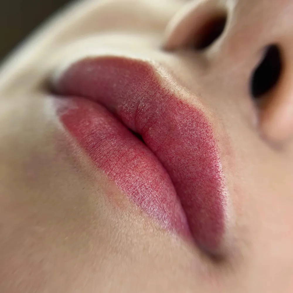 شیدینگ لب پودری