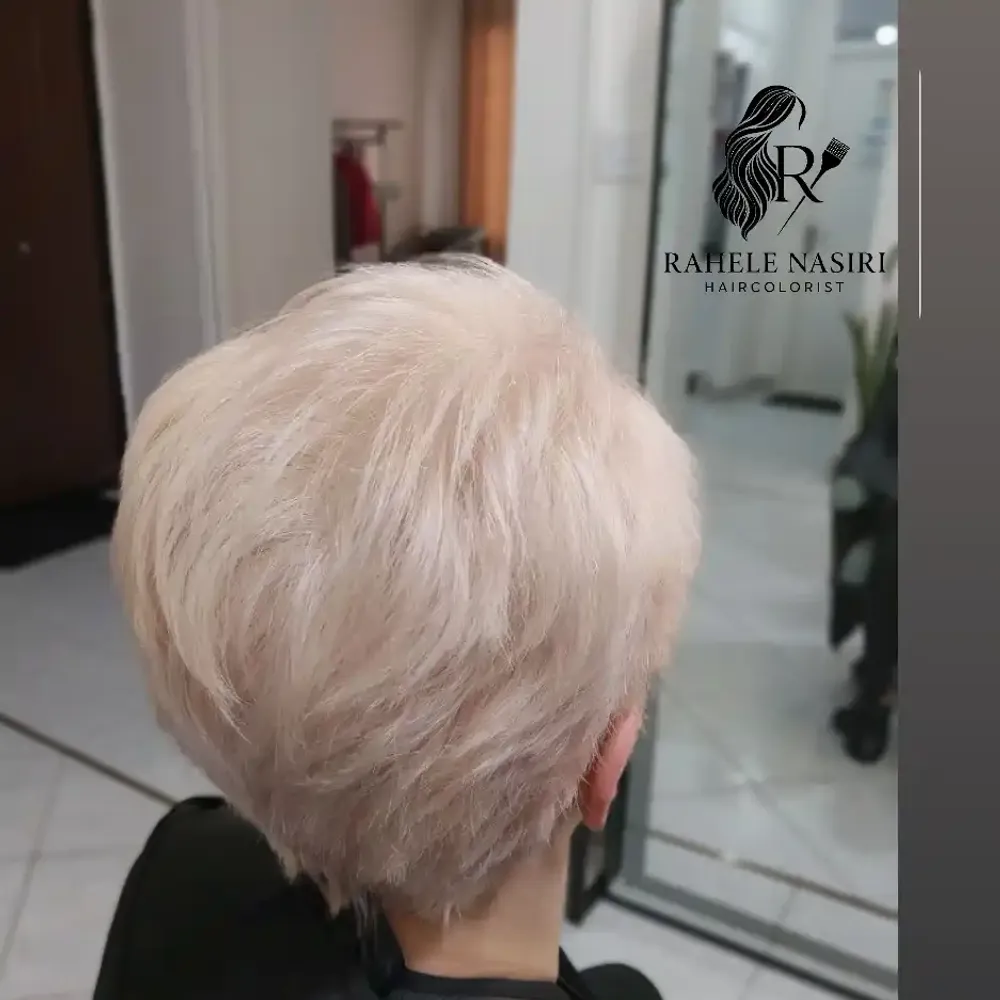 تمام دکلره صدفی