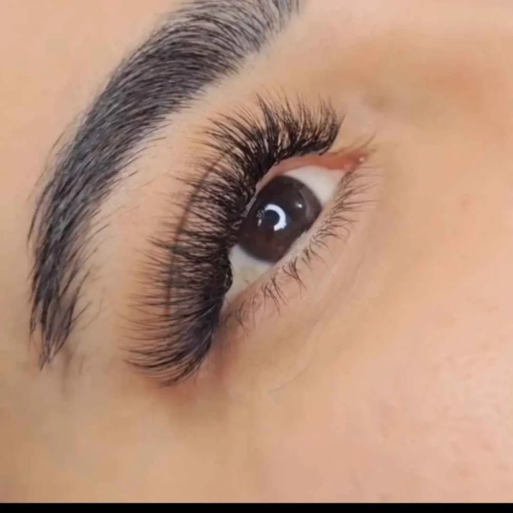 کاشت مژه هیدن