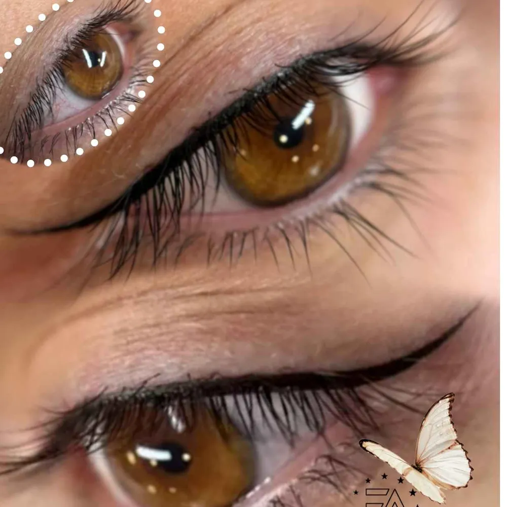 خط چشم مینیاتوری