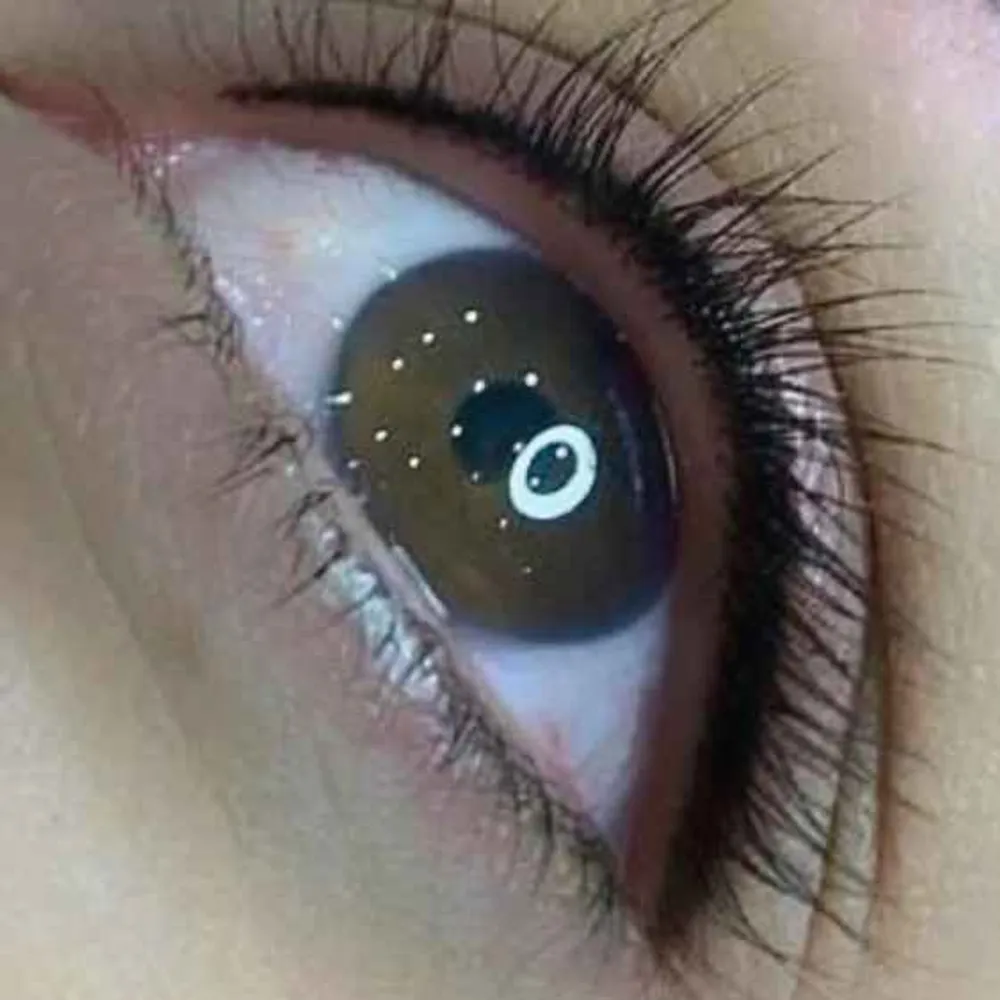 شیدینگ لب وبن مژه