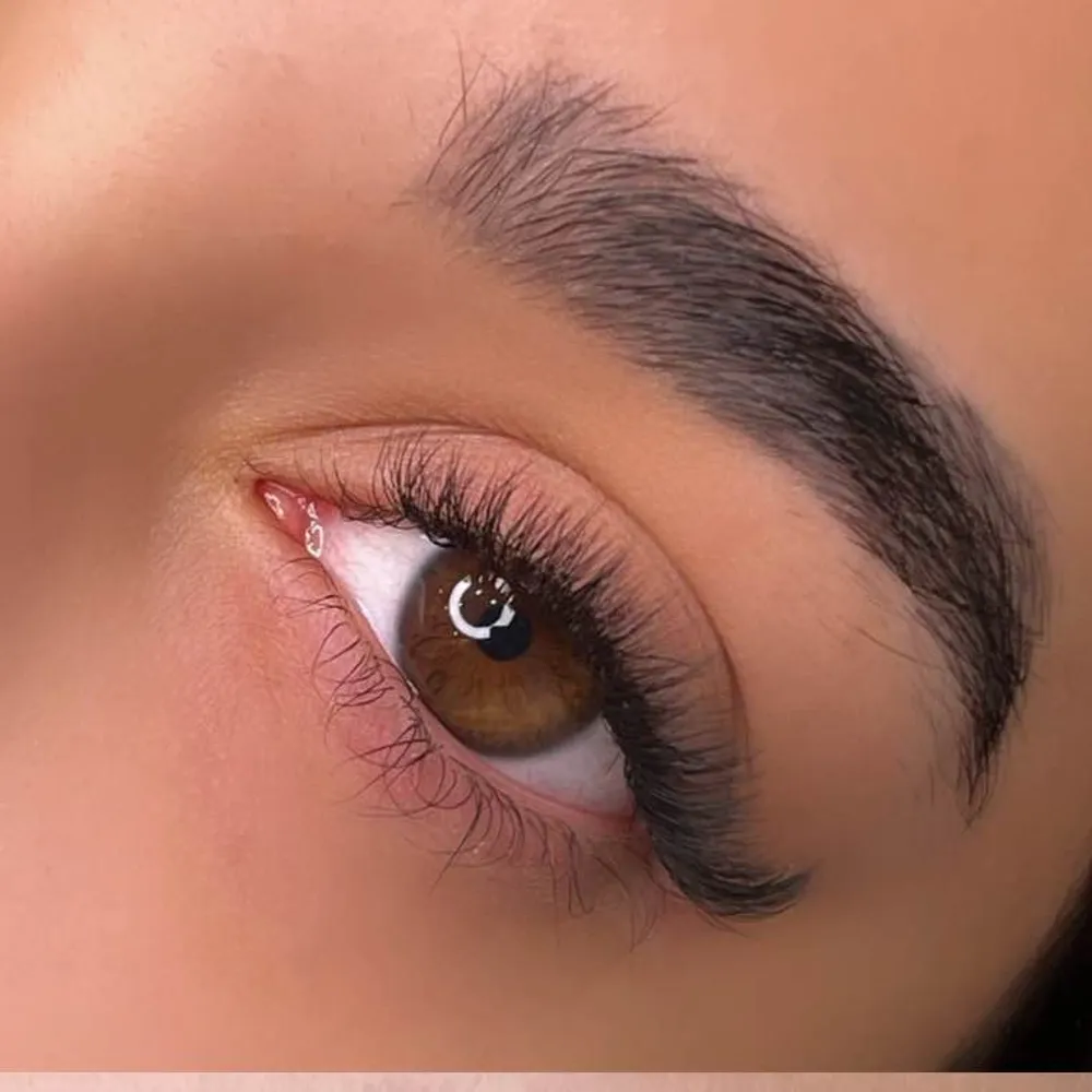 مژه