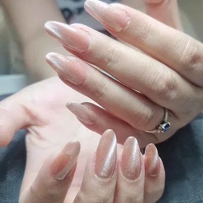 نفیسه حسینی