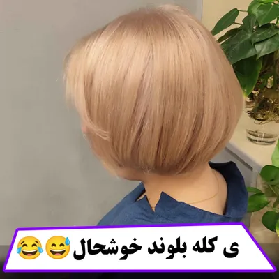 کوتاهی و دکلره کامل و رنگساژ 