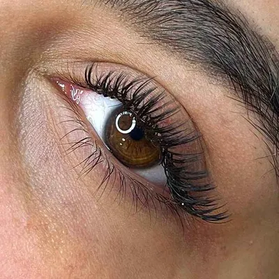 مائده رجب زاده