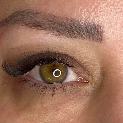 فرانک صادق نژاد