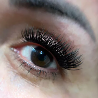 مهرسا بخشی نژاد