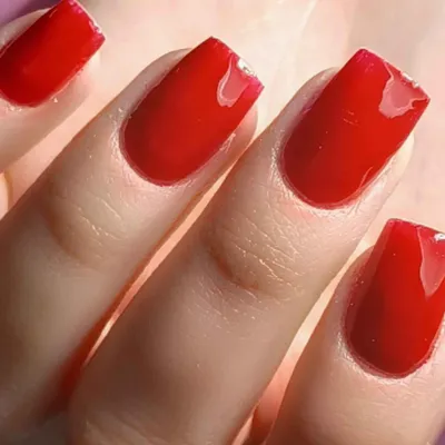 نرگس فرزندی