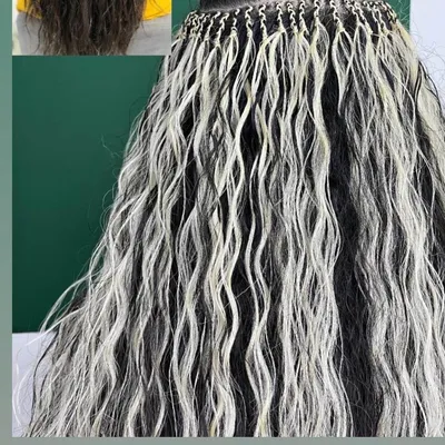 راحله نیک کاران 