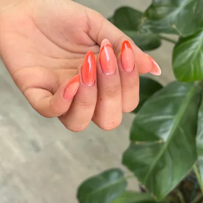 هانیه راستگو