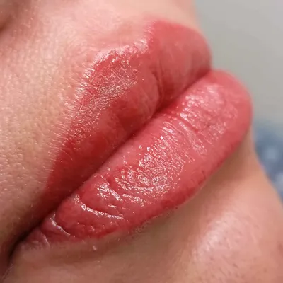 فاطمه حسینی 