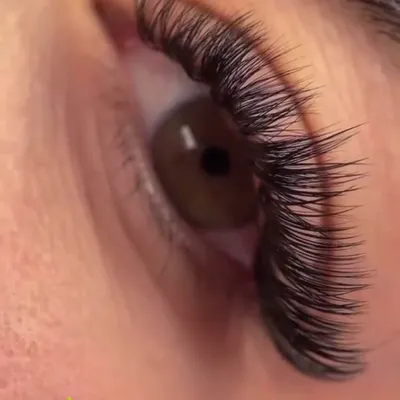 یاسمن طارمی